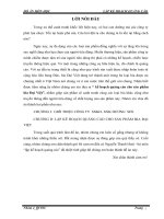 lập kế hoạch quảng cáo cho bia đại việt của công ty xuất nhập khẩu hương sen