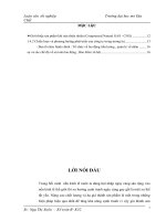 tổ chức công tác kế toán nguyên vật liệu tại công ty cp cng việt nam