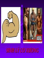 4. sinh lý cơ xương (cô thơ)