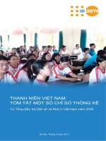 THANH NIÊN VIỆT NAM TÓM TẮT MỘT SỐ CHỈ SỐ THỐNG KÊ