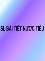 sinh lý hệ niệu