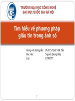 Tìm hiểu về phương pháp giấu tin trong ảnh số