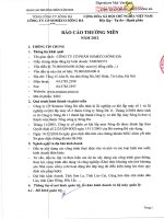 báo cáo thường niên công ty cổ phần someco sông đà năm 2012