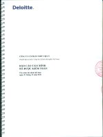 công ty cổ phần thép việt ý báo cáo tài chính đã được kiểm toán cho năm tài chính kết thúc 31 tháng 12 năm 2012