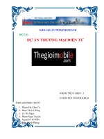 dự án xây dựng website thương mại điện tử thegioimobile.com