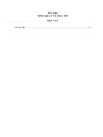 Tiểu luận TỔNG QUAN VỀ GIẤU TIN