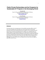 public private partnerships and the prospects for sustainable ict projects in the developing world