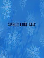  sinh lý khướu giác (thầy kiên)