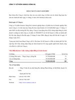 công ty cp someco sông đà báo cáo ban tổng giám đốc báo cáo kết quả hoạt động kinh doanh lưu chuyển tiền tệ bảng cân đối kế toán 31 tháng 12 năm 2012