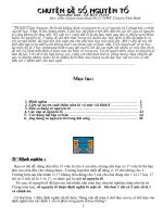 Chuyên đề số nguyên tố