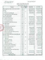 công ty cổ phần thép việt ý bảng cân đối kế toán báo cáo lưu chuyển tiền tệ báo cáo kết quả hoạt động kinh doanh báo cáo tài chính 30 tháng 6 năm 2014