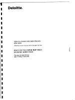 công ty cổ phần thủy điện vĩnh sơn sông hinh báo cáo tài chính hợp nhất đã được kiểm toán cho năm tài chính kết thúc 31 tháng 12 năm 2013