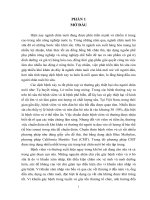 Khảo sát bệnh viêm vú ở bò sữa nuôi tại công ty cổ phần thực phẩm sữa TH theo quan sát lâm sàng và CMT”