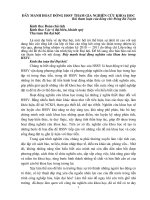 Đẩy mạnh hoạt động sinh viện tham gia nghiên cứu tài liệu