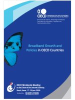 broadband growth and policies in oecd countries - bb growth in oecd
