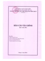 công ty cổ phần thủy điện srok phu miêng idico báo cáo tài chính quý 2 năm 2012