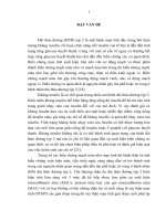 Nghiên cứu tình trạng kháng insulin và mức độ kiểm soát một số chỉ số ở bệnh nhân đái tháo đường týp 2 có tổn thương thận