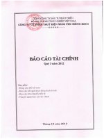 công ty cổ phần thủy điện srok phu miêng idico báo cáo tài chính quý 3 năm 2012