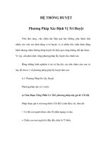 Phương pháp xác định vị trí huyệt vị