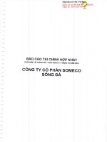 báo cáo tài chính hợp nhất cho năm tài chính kết thúc 31 tháng 12 năm 2013 công ty cổ phần someco sông đà