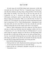 tóm tắt luận án tiếng anh  đánh giá hiệu lực dihydroartemisinine - piperaquine điều trị sốt rét do plasmodium falciparum chưa biến chứng và chloroquine điều trị plasmodium vivax