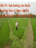 Giáo án bồi dưỡng tham khảo Ảnh hưởng của thuốc bảo vệ thực vật đến quần thể sinh vật và môi trường 2