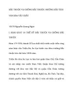 bắc thuộc và chống bắc thuộc những dấu tích văn hóa vật chất