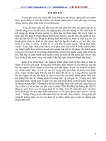 đồ án tốt nghiệp kinh tế tư nhân ở việt nam