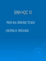 Giáo án bồi dưỡng tham khảo GIảm phân bài 19 sinh học lớp 10