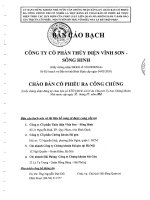 công ty cổ phần thủy điện vĩnh sơn sông hinh bản cáo bạch chào bán cổ phiếu ra công chúng năm 2007