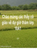 Giáo án bồi dưỡng tham khảo Ảnh hưởng của thuốc bảo vệ thực vật đến quần thể sinh vật và môi trường