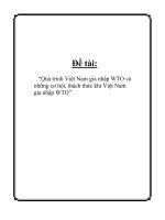 Qúa trình việt nam gia nhập WTO và những cơ hội, thách thức khi việt nam gia nhập WTO