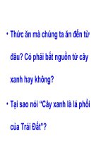 Giáo án bồi dưỡng môn sinh học lớp 6 Quang hợp