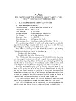 Tình hình tổ chức bộ máy kế toán và công tác kế toán của công ty chiếu sáng và thiết bị đô thị