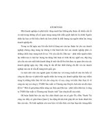 Một số giải pháp nhằm nâng cao hiệu quả đào tạo  phát triển nhân lực ở công ty TNHH sản xuất và thương mại duyên anh