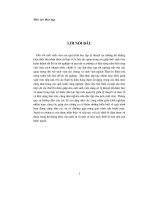 Báo cáo thực tập tại công ty việt á