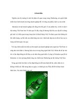 chiến lược marketing cho sản phẩm heniken tại thị trường việt nam