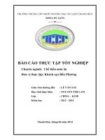 BÀI 2 BÁO CÁO THỰC TẬP CHẾ BIẾN MÓN ĂN NGHIỆP VỤ BẾP CHẾ BIẾN MÓN ĂN KHÁCH sạn bốn PHƯƠNG
