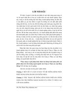 Thực trạng và giải pháp hoàn thiện hệ thống kênh phân phối sản phẩm nhựa trên thị trường ngoài ngành của công ty nhựa cao cấp hàng không