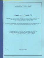 Xây dựng Mô hình trồng chè thâm canh bằng giống mới, kết hợp với chế độ canh tác cải tiến tại hai huyện Phù Ninh và Thanh Ba, tỉnh Phú Thọ