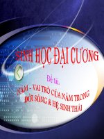 Nấm vai trò của nấm trong đời sống và hệ sinh thái