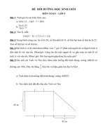 Các đề thi học sinh giỏi môn toán lớp 5