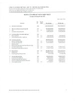 công ty cổ phần dệt may đầu tư  thương mại thành công báo cáo tài chính hợp nhất quý 2 tại 30 tháng 6 năm 2013