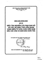 Điều tra nghiên cứu rạn san hô và các hệ sinh thái liên quan vùng biển từ hòn chảo đến nam đèo Hải Vân và bán đảo Sơn Trà