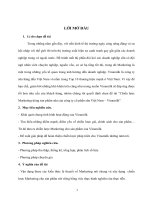 Chiến lược marketing dòng sản phẩm sữa của công ty cổ phần sữa việt nam – vinamilk