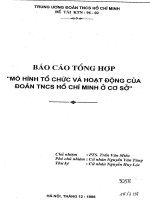 Mô hình tổ chức và hoạt động của đoàn TNCS hồ chí minh cấp cơ sở