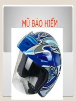 thị trường sản phẩm mũ bảo hiểm