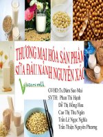 Tiểu luận THƯƠNG mại hóa sản PHẨM sữa đậu NÀNH NGUYÊN xác