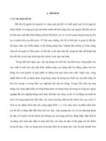 KHẢO SÁT ĐỊA HÌNH SỞ GIÁO DỤC ĐÀO TẠO ĐỒNG THÁP