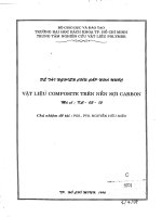 Vật liệu composite trên nền sợi carbon